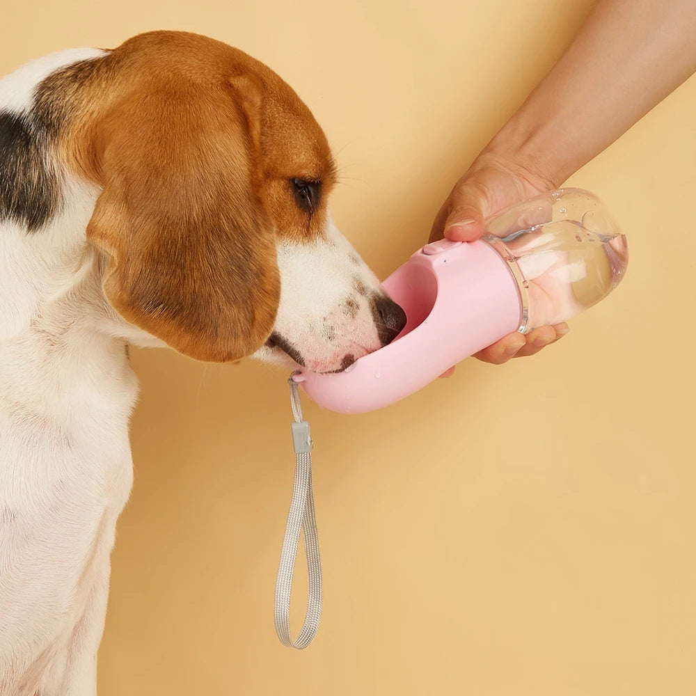 On -the -Go Pet Hydrator
